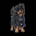 K-9 10