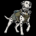 K-9 06